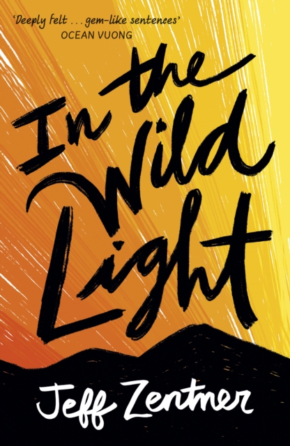 In the Wild Light, Paperback / softback Book