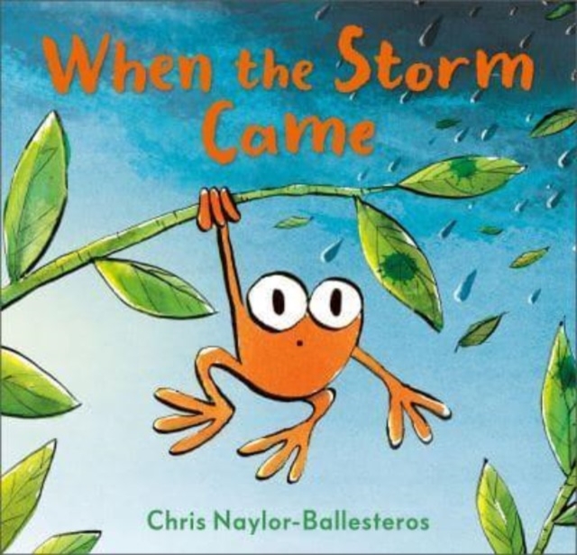 When the Storm Came, Hardback Book