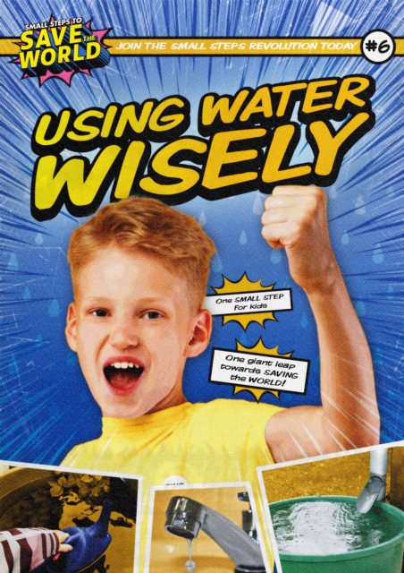 Using Water Wisely, Hardback Book