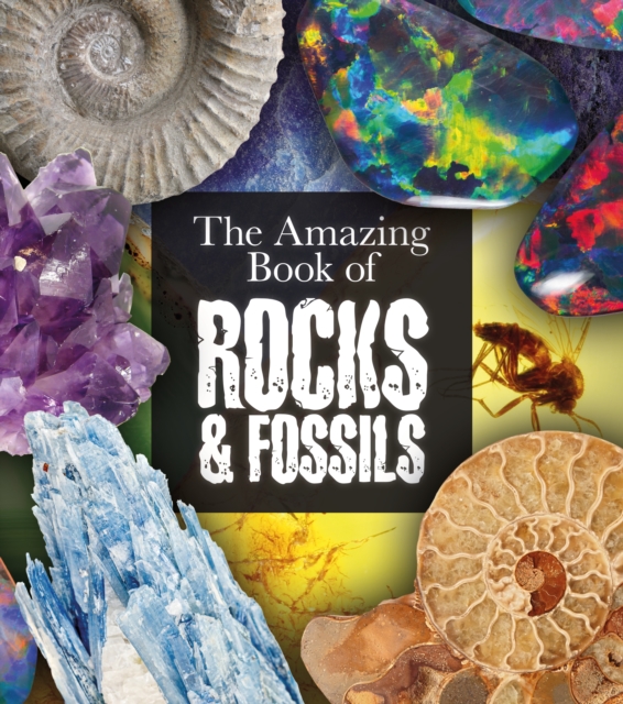 The Amazing Book of Rocks and Fossils, Paperback / softback Book