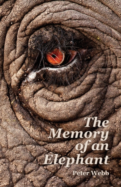 The Memory of an Elephant, Paperback / softback Book