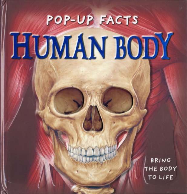Pop-up Facts: Human Body, Hardback Book