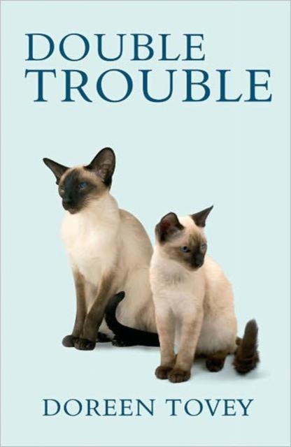 Double Trouble, Paperback Book