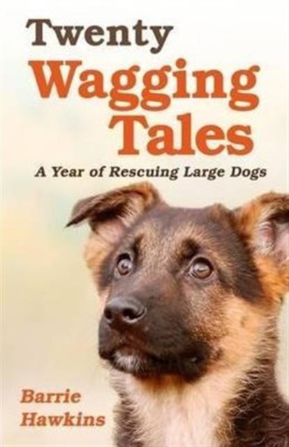 Twenty Wagging Tales : Our Year of Rehoming Orphaned Dogs, Paperback / softback Book