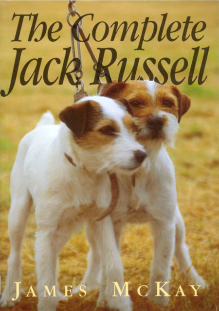 The Complete Jack Russell, Paperback / softback Book