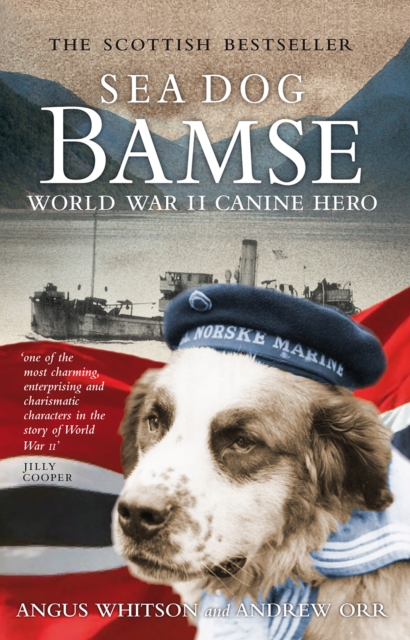 Sea Dog Bamse : World War II Canine Hero, Paperback / softback Book