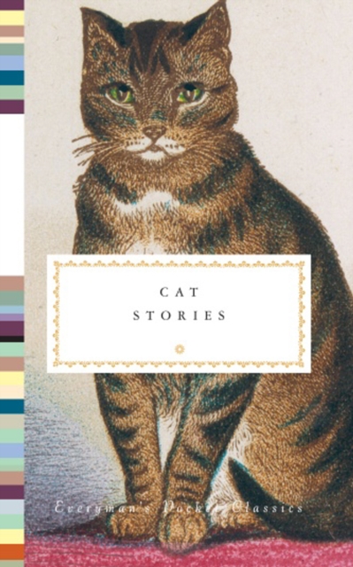 Cat Stories, Hardback Book