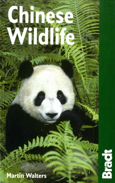 Chinese Wildlife, Paperback / softback Book
