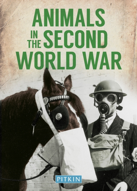 Animals in the Second World War, Paperback / softback Book