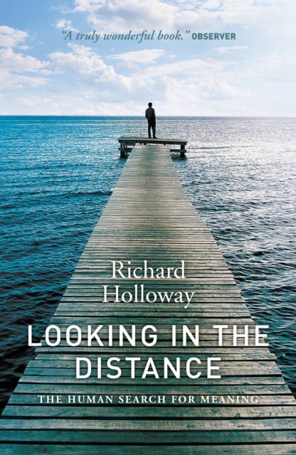 Looking In the Distance : The Human Search for Meaning, Paperback / softback Book