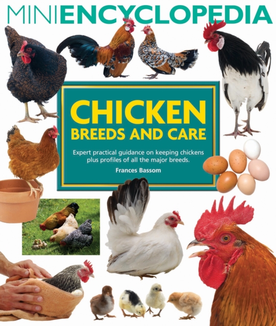 Mini Encyclopedia of Chicken Breeds and Care, Paperback / softback Book