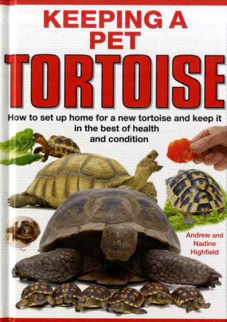 Keeping a Pet Tortoise, Hardback Book