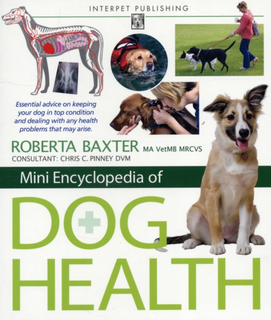 Mini Encyclopedia of Dog Health, Paperback Book