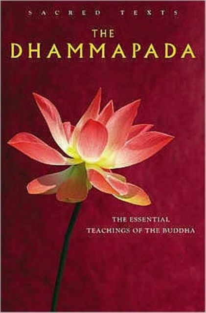 Sacred Texts: The Dhamapada, Hardback Book