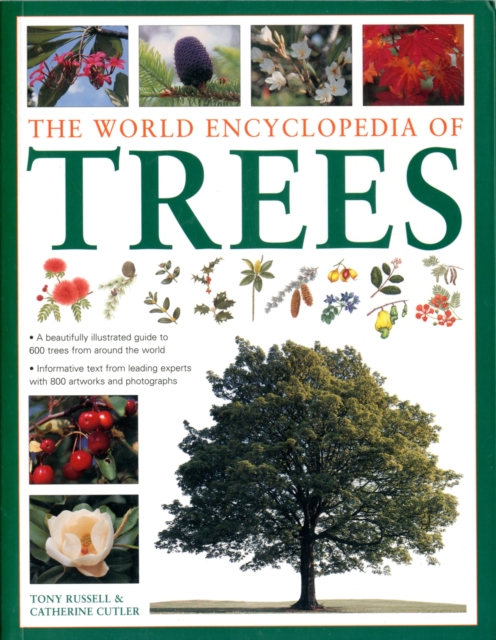World Encyclopedia of Trees, Paperback / softback Book