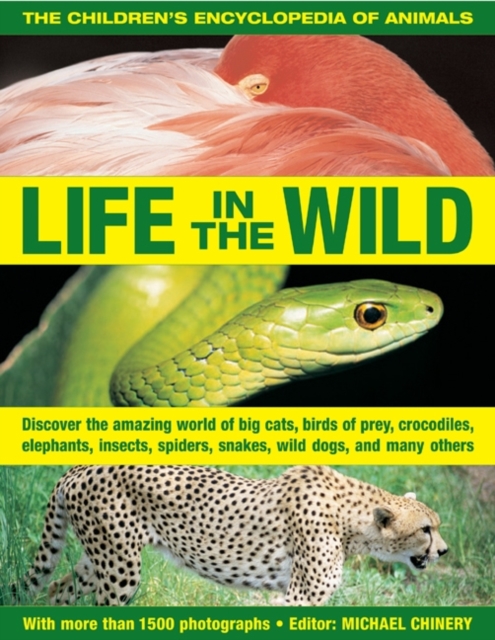 The Children's Encyclopedia of Animals: Life in the Wild : Discover the Amazing World of Big Cats, Birds of Prey, Crocodiles, Elephants, Insects, Spiders, Snakes, Wild Dogs, and Many Others, Paperback / softback Book