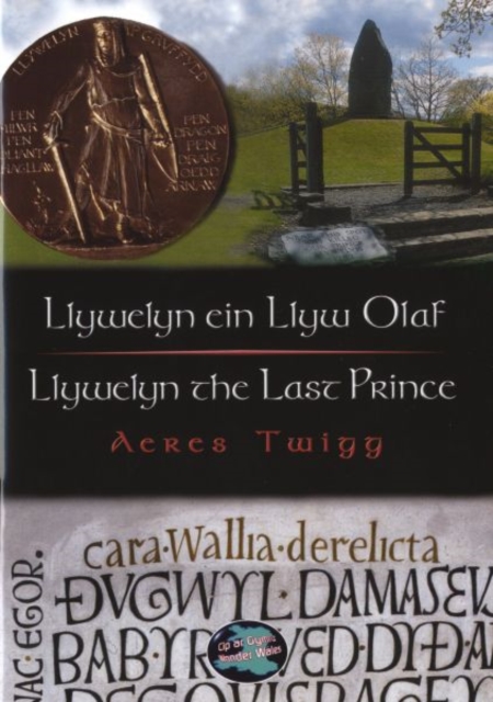 Cyfres Cip ar Gymru / Wonder Wales: Llywelyn ein Llyw Olaf, Paperback / softback Book