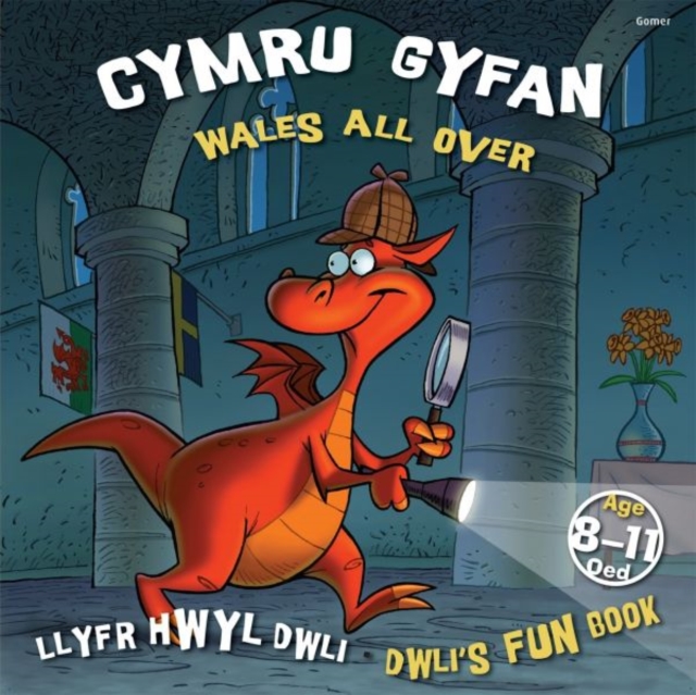 Llyfr Hwyl Dwli/ Dwli's Fun Book: Cymru Gyfan/ Wales All Over, Paperback / softback Book