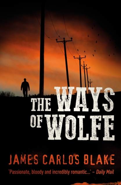 The Ways of Wolfe, Paperback / softback Book