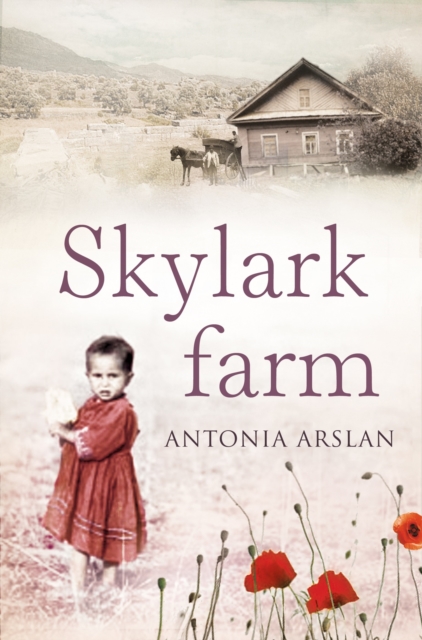 Skylark Farm, Paperback / softback Book