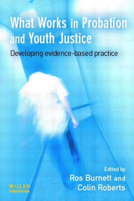 What Works in Probation and Youth Justice, Paperback / softback Book
