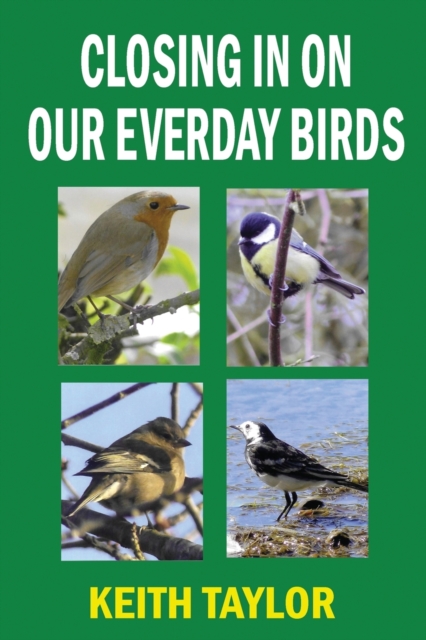 Closing in on Our Everyday Birds, Paperback / softback Book