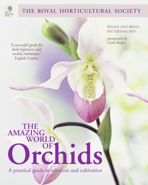 The Amazing World of Orchids, Paperback / softback Book