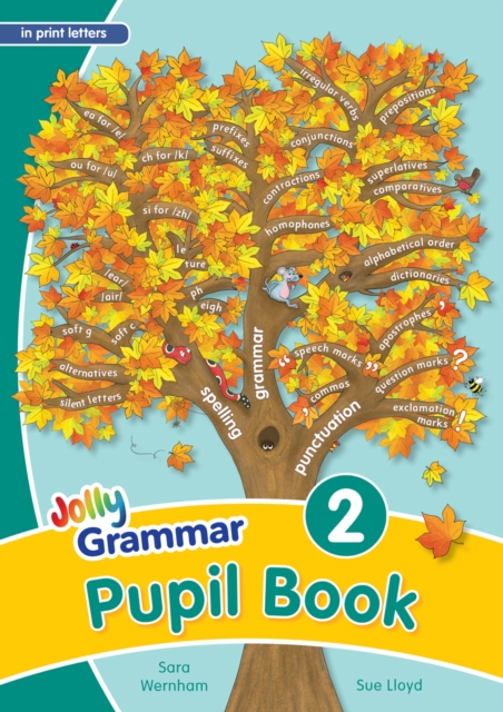 Grammar 2 Pupil Book : In Print Letters (British English edition), Paperback / softback Book