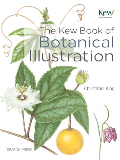The Kew Book of Botanical Illustration, Hardback Book