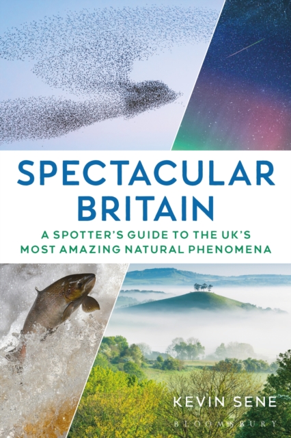 Spectacular Britain : A spotter's guide to the UK s most amazing natural phenomena, EPUB eBook