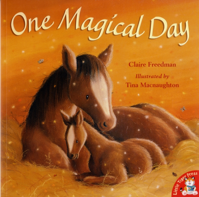 One Magical Day, Paperback / softback Book