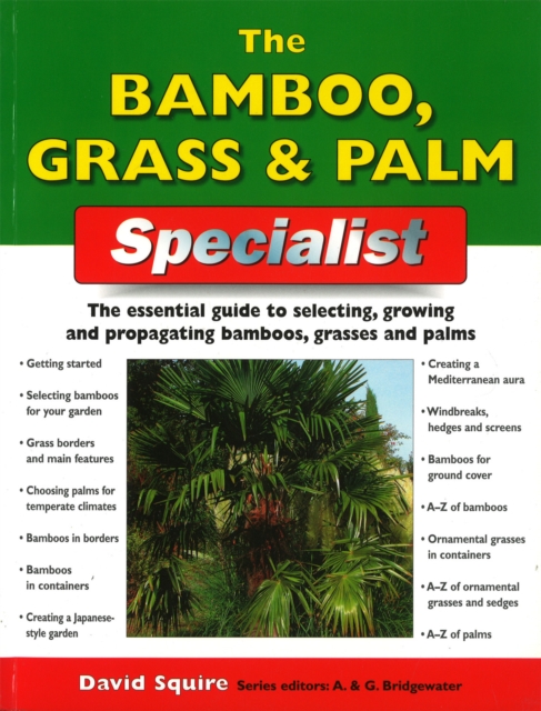 The Bamboo, Grass and Palm Specialist, Paperback / softback Book