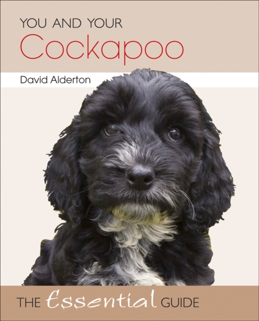 You and Your Cockapoo, Paperback / softback Book