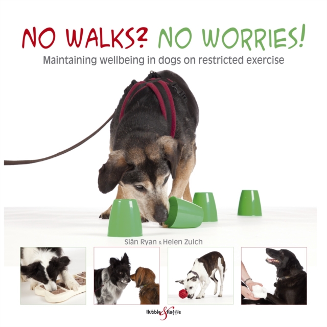 No Walks? No Worries! : Maintaining Wellbeing in Dogs on Restricted Exercise, EPUB eBook