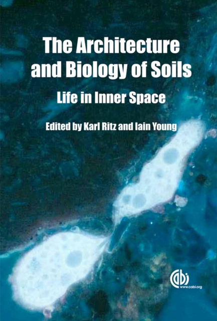 Architecture and Biology of Soils : Life in Inner Space, Hardback Book