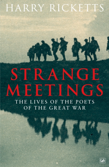 Strange Meetings : The Lives of the Poets of the Great War, Paperback / softback Book