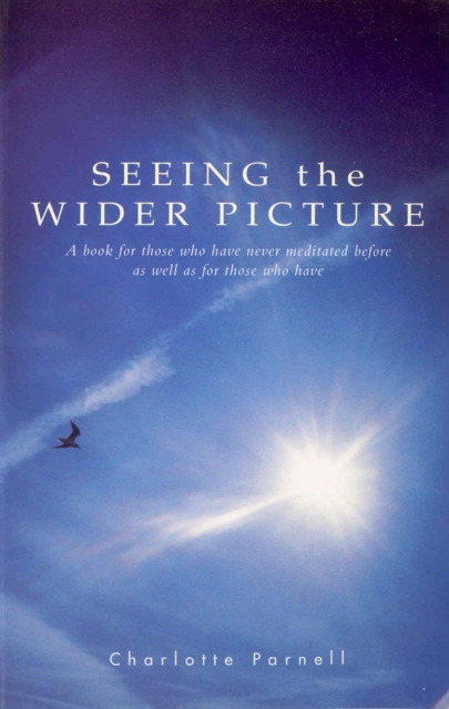 Seeing The Wider Picture, Paperback / softback Book