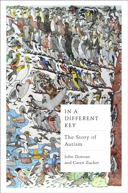 In a Different Key : The Story of Autism, Hardback Book
