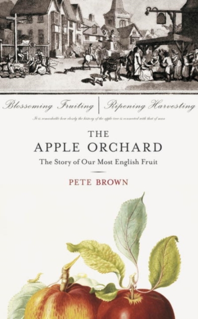 The Apple Orchard : The Story of Our Most English Fruit, Hardback Book