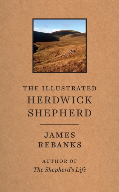 The Illustrated Herdwick Shepherd, Hardback Book