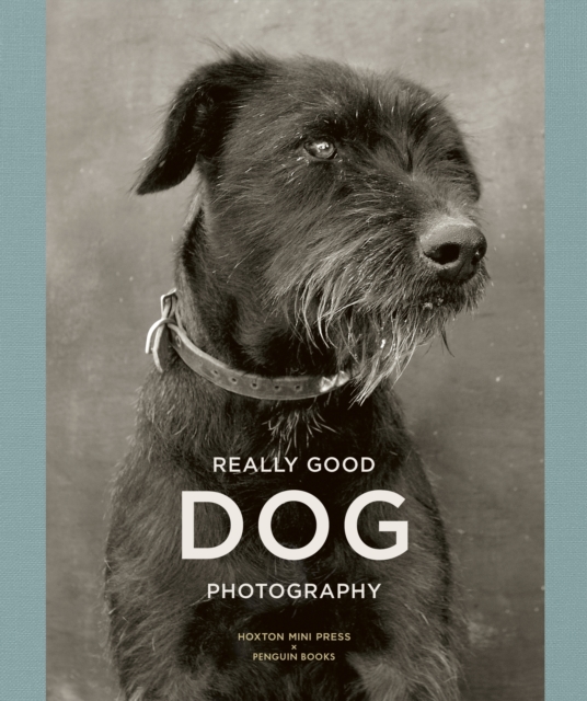 Really Good Dog Photography, Hardback Book
