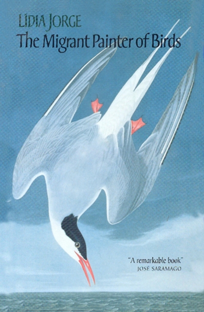 The Migrant Painter of Birds, Paperback / softback Book