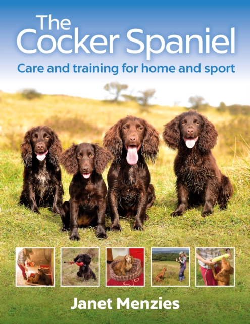 The Cocker Spaniel : Care and Training for Home and Sport, Paperback / softback Book