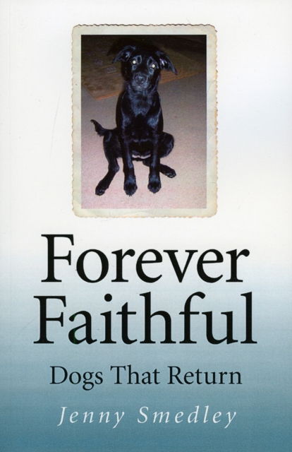 Forever Faithful - Dogs That Return, Paperback / softback Book