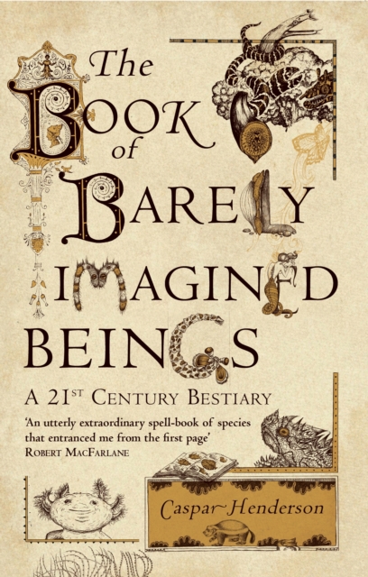 The Book of Barely Imagined Beings : A 21st-Century Bestiary, EPUB eBook