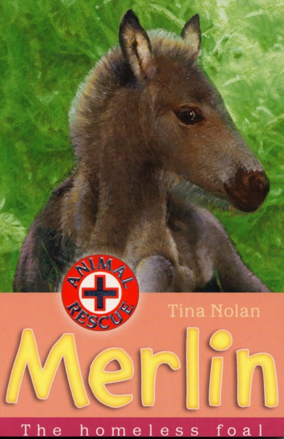 Merlin : The Homeless Foal, Paperback / softback Book