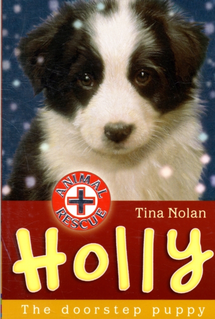 Holly : The Doorstep Puppy, Paperback / softback Book