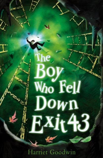 The Boy Who Fell Down Exit 43, Paperback / softback Book
