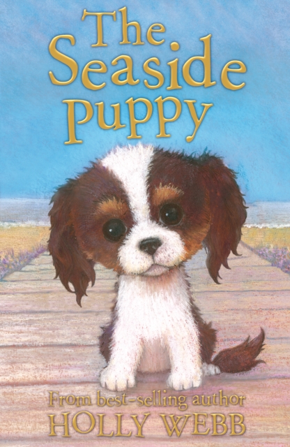 The Seaside Puppy, Paperback / softback Book