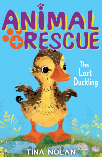 The Lost Duckling, Paperback / softback Book